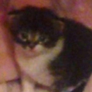 Meet your Posher, Nataly